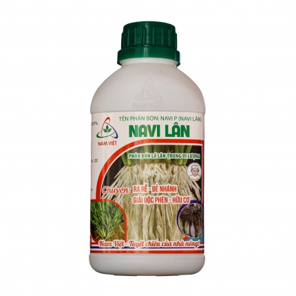 NAVI LÂN - RA RỄ ĐẺ NHÁNH